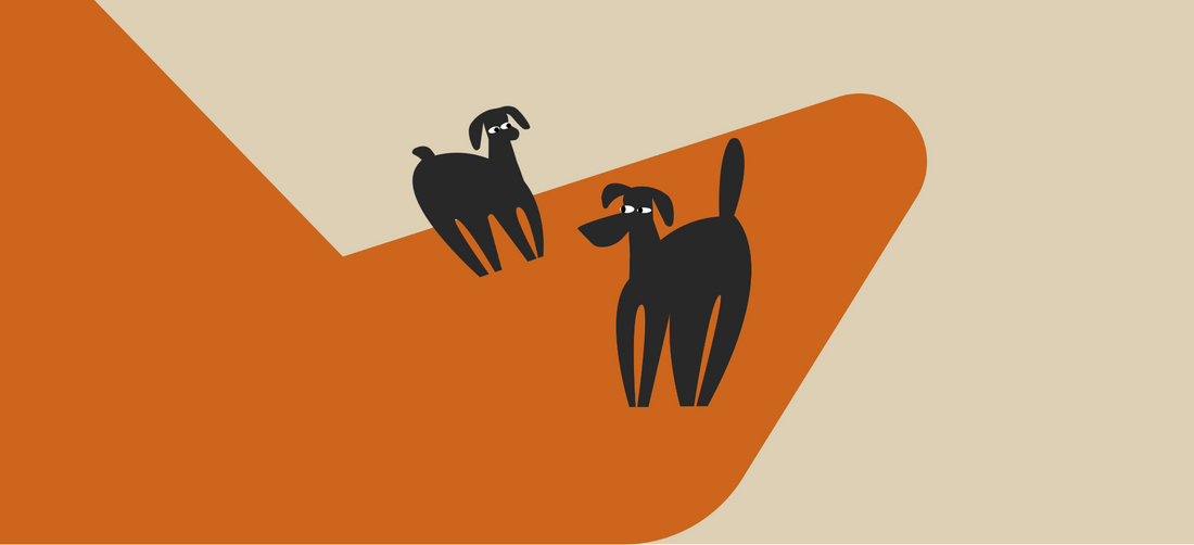 Simple ways to help your dog eat slower and safer