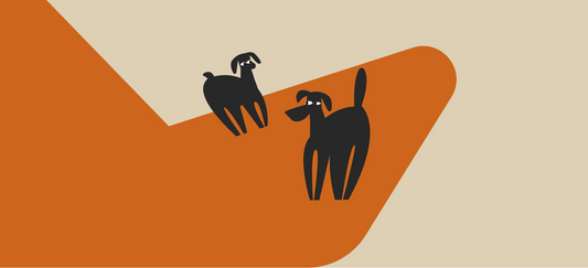 Simple ways to help your dog eat slower and safer