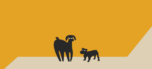 Can Big Dogs eat small dog food? What you need to know