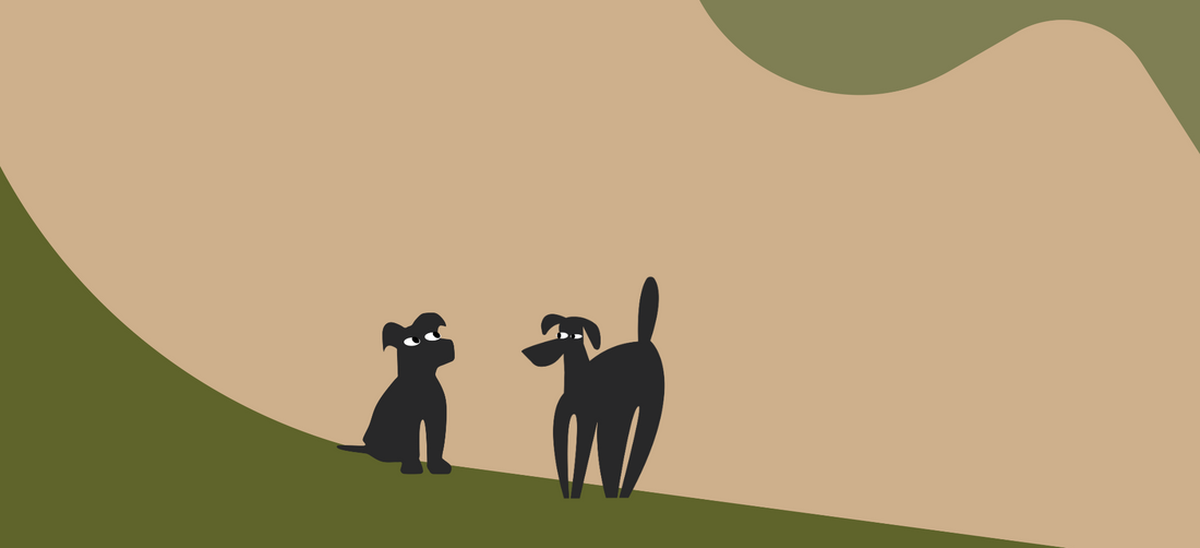 Dog not chewing food? What it means and how to help