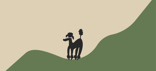 Dog only eats at night? Here’s what you need to know