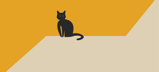 Can cats eat cold food and do they like it?