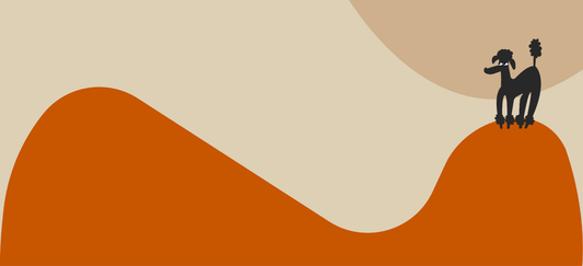 Puppy barking at night? Here’s how to calm them