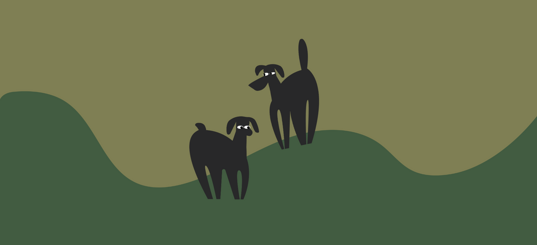 Support for Dogs with Cancer: Adaptogens Guide