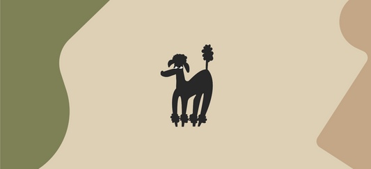 What safe toppings can I add to my dog's food?