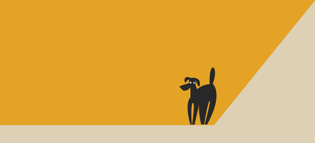 Inulin in Dog Diets: Is It Safe and Beneficial?