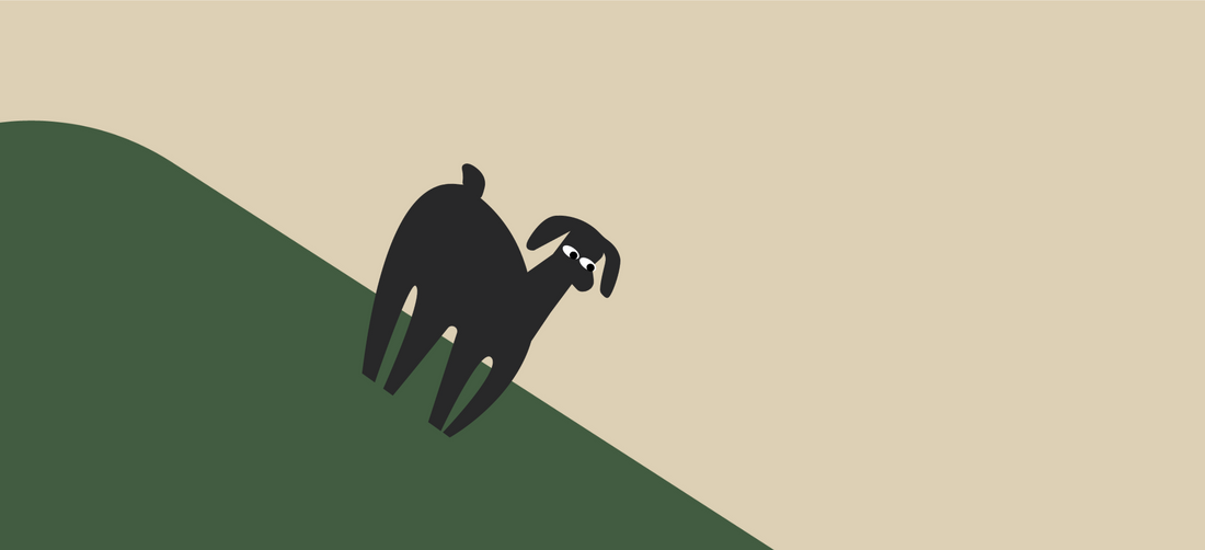 Dog eats treats but not food? Here's what you can do