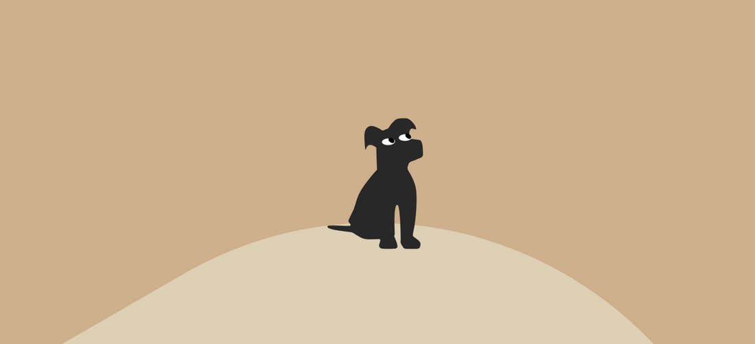 Best Adaptogens to Enhance Your Dog’s Health